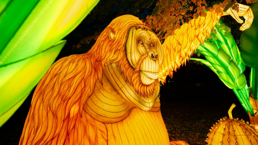 Rozświetl jesienno-zimowy czas w Ogrodach Świateł „Garden of Lights”!