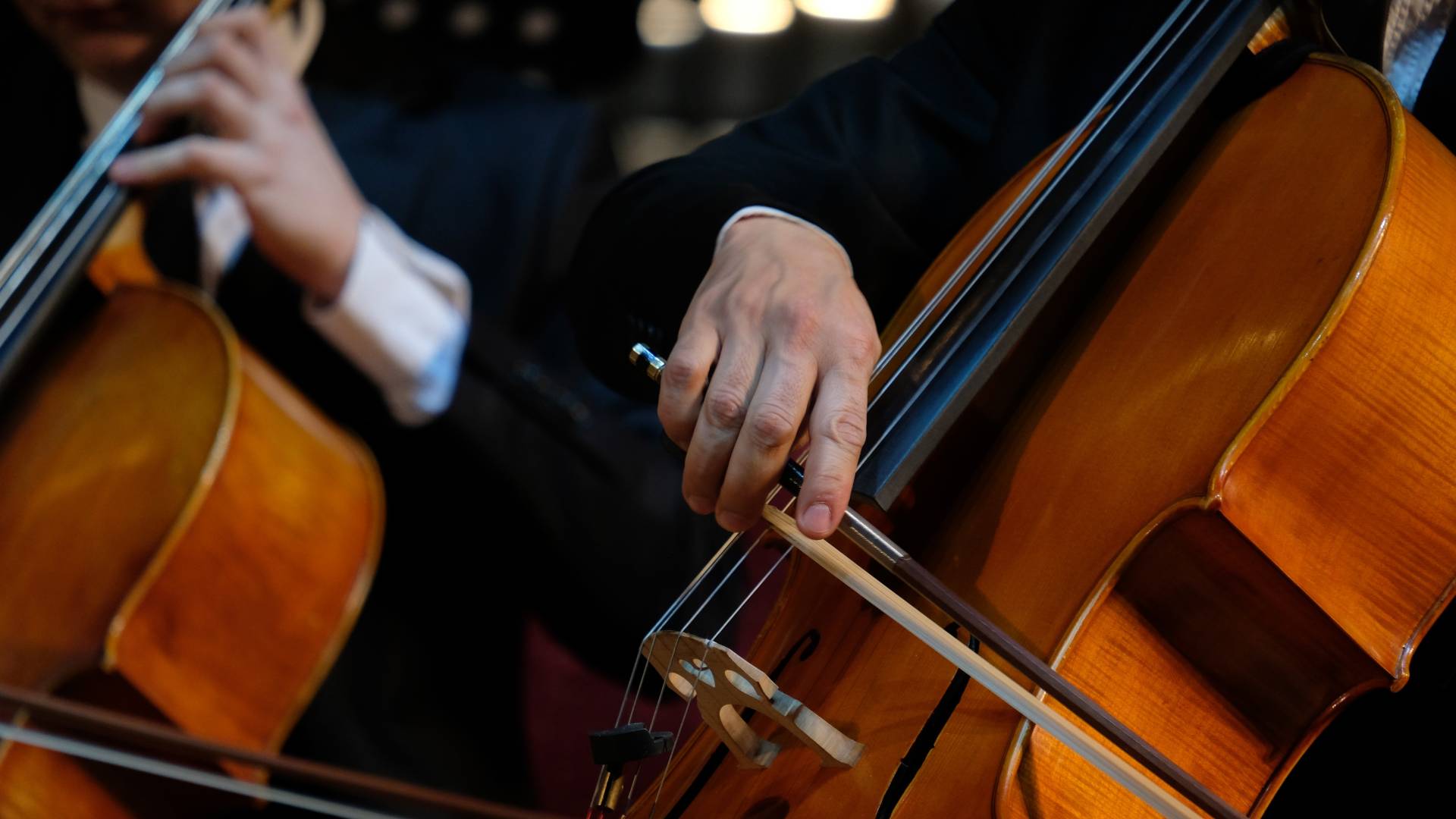 Culture Orchestra – największa “młodzieżowa” orkiestra