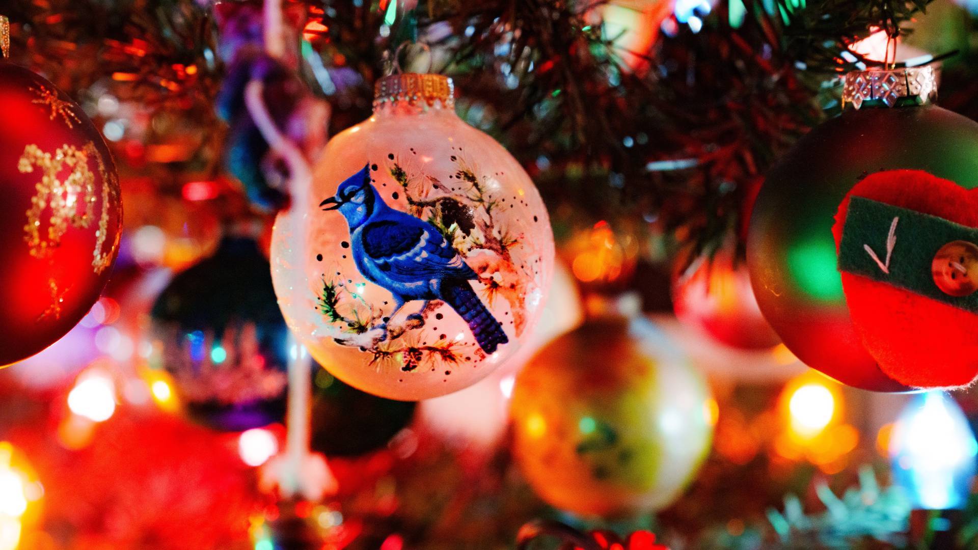 Top 20 najpiękniejszych polskich kolęd – sprawdzamy, czy aby na pewno są polskie i czy aby na pewno są kolędami!