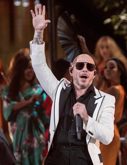 Pitbull chce pobić Rekord Guinnessa. Ma być… łyso